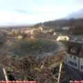 09_10-nest.jpg