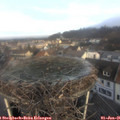 09_15-nest.jpg