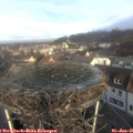 09_20-nest.jpg