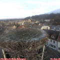 09_25-nest.jpg