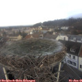 09_35-nest.jpg