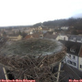 09_40-nest.jpg
