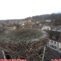09_55-nest.jpg