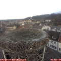 10_00-nest.jpg