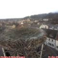 10_05-nest.jpg