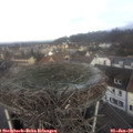 10_10-nest.jpg