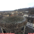 10_15-nest.jpg