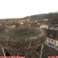 10_20-nest.jpg