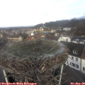 10_25-nest.jpg