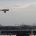 10_30-mast.jpg