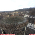 10_30-nest.jpg