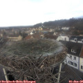 10_35-nest.jpg