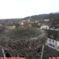 10_40-nest.jpg