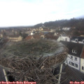 10_45-nest.jpg