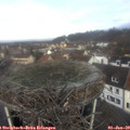 10_50-nest.jpg