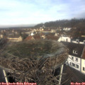 11_00-nest.jpg