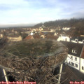 11_05-nest.jpg