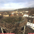 11_10-nest.jpg