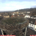 11_15-nest.jpg