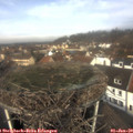 11_25-nest.jpg