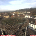 11_30-nest.jpg