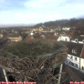 11_35-nest.jpg