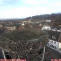 11_40-nest.jpg