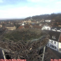11_45-nest.jpg