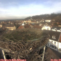 11_55-nest.jpg