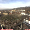 12_00-nest.jpg