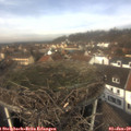12_05-nest.jpg