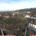 12_10-nest.jpg