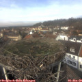 12_15-nest.jpg