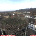 12_20-nest.jpg