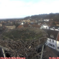 12_35-nest.jpg