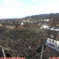 12_40-nest.jpg