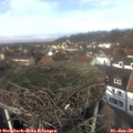 12_45-nest.jpg