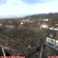 12_50-nest.jpg