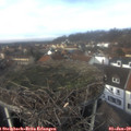 13_00-nest.jpg