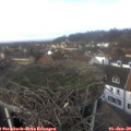 13_05-nest.jpg