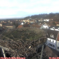 13_15-nest.jpg