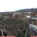 13_25-nest.jpg