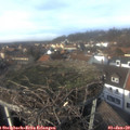 13_35-nest.jpg