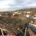 13_50-nest.jpg