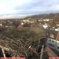14_00-nest.jpg