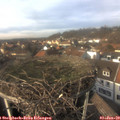 14_05-nest.jpg