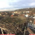 14_10-nest.jpg