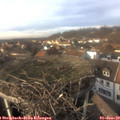 14_25-nest.jpg