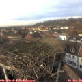 14_35-nest.jpg