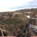 14_40-nest.jpg